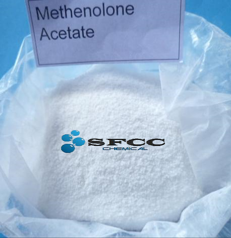 Primobolan A/E Powder