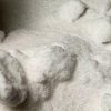 5-MeO-DALT Powder